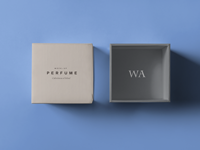 珠宝首饰盒样机