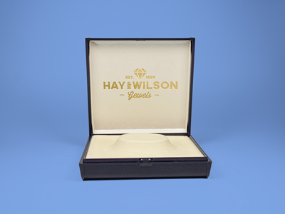 珠宝首饰盒样机