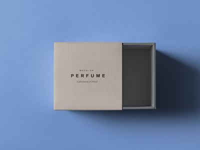 珠宝首饰盒样机