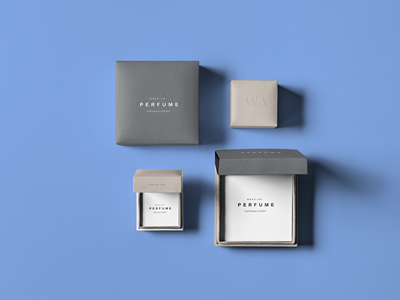 珠宝首饰盒样机