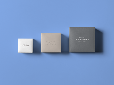 珠宝首饰盒样机