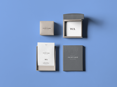 珠宝首饰盒样机