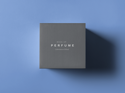 珠宝首饰盒样机