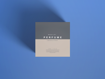 珠宝首饰盒样机