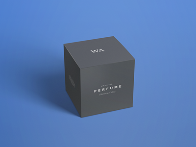 珠宝首饰盒样机