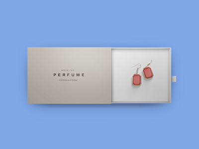 珠宝首饰盒样机