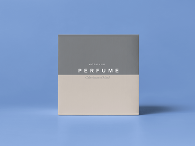 珠宝首饰盒样机