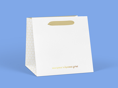 手提袋纸袋样机