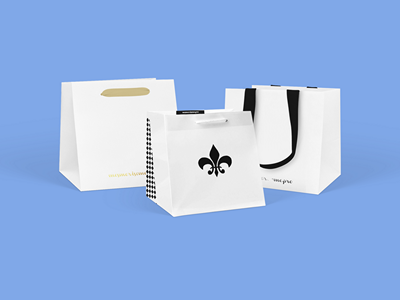 手提袋纸袋样机