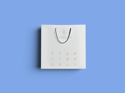 手提袋纸袋牛皮纸袋样机