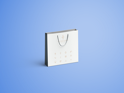 手提袋纸袋牛皮纸袋样机