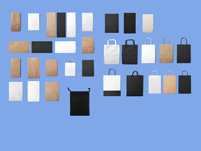 手提袋纸袋牛皮纸袋样机