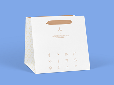 手提袋纸袋牛皮纸袋样机