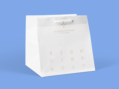 手提袋纸袋牛皮纸袋样机