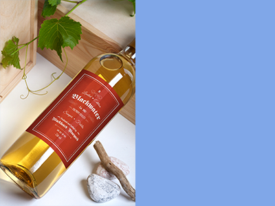 红酒瓶红酒包装样机