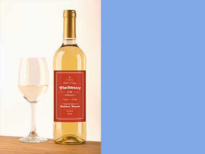 红酒瓶红酒包装样机