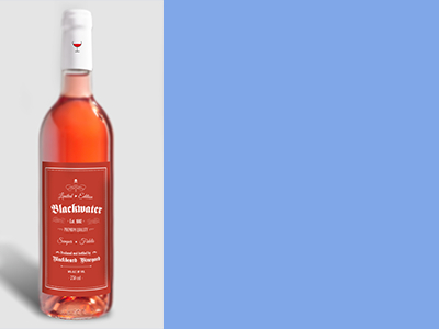 红酒瓶红酒包装样机