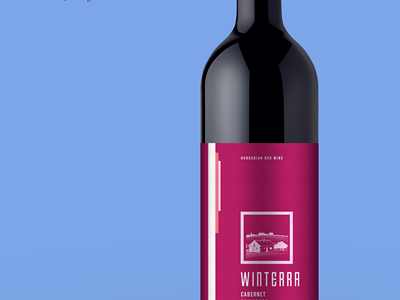 红酒瓶红酒包装样机