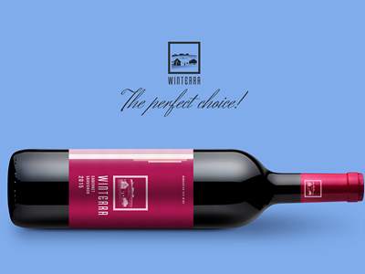 红酒瓶红酒包装样机
