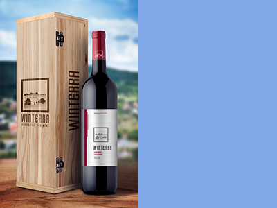 红酒瓶红酒包装样机