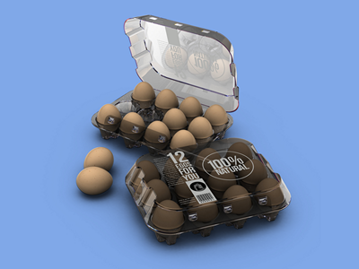 鸡蛋包装样机