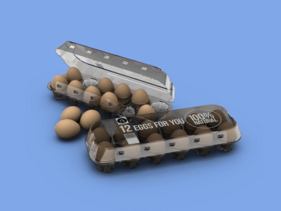 鸡蛋包装样机