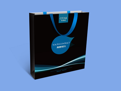 手提袋纸袋包装样机