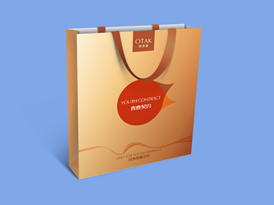 手提袋纸袋包装样机
