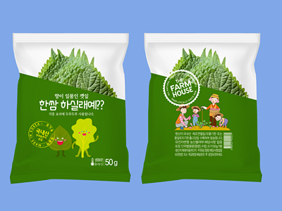 蔬菜农产品包装样机