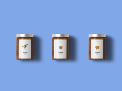 零食坚果包装样机