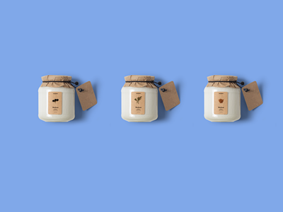 食品零食坚果包装样机