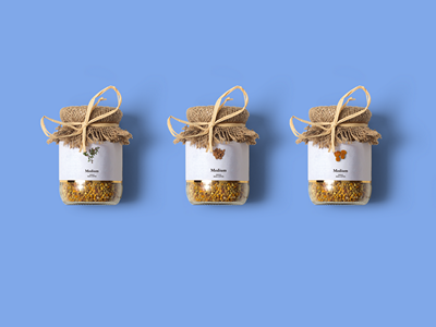 食品零食坚果包装样机