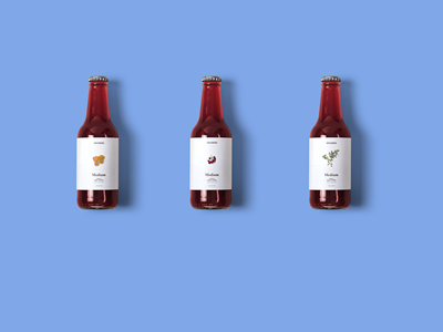 饮料瓶玻璃瓶酒瓶