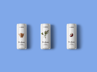 食品零食坚果包装样机