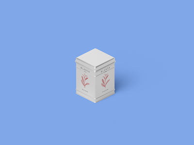 高档茶叶包装样机茶叶罐