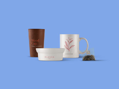 高档茶叶包装样机茶具