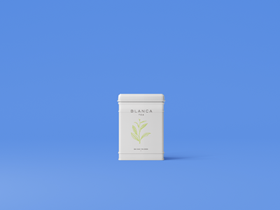 高档茶叶包装袋包装盒样机