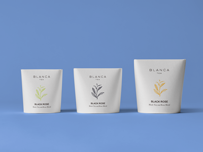 高档茶叶包装袋包装盒样机