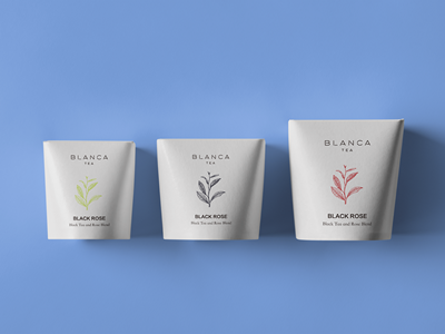 高档茶叶包装袋包装盒样机