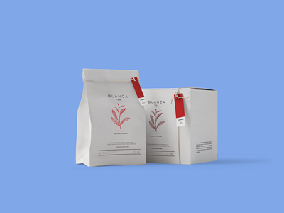 高档茶叶包装袋包装盒样机
