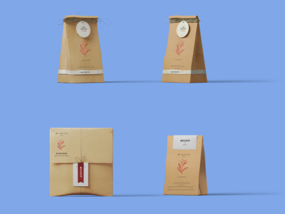 高档茶叶包装袋包装盒样机
