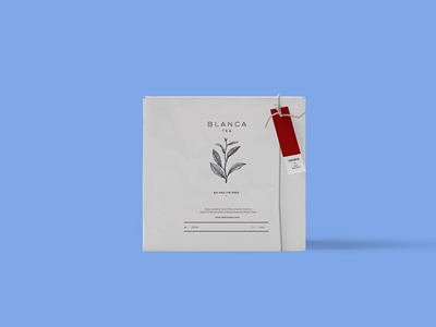 高档茶叶包装袋包装盒样机