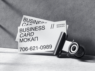 高档简洁品牌VI样机提案展示企业办公名片信封档案袋PS贴图素材名片卡片