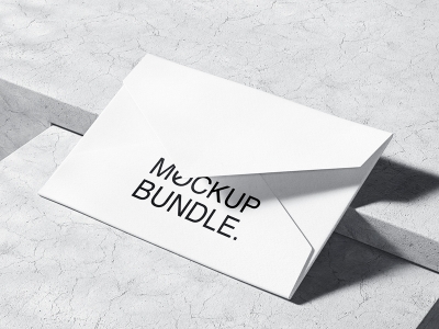 高档简洁品牌VI样机提案展示企业办公名片信封档案袋PS贴图素材信封