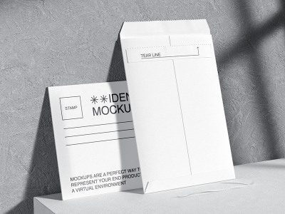 高档简洁品牌VI样机提案展示企业办公名片信封档案袋PS贴图素材信封