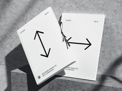 高档简洁品牌VI样机提案展示企业办公名片信封档案袋PS贴图素材画册文件夹