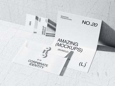 高档简洁品牌VI样机提案展示企业办公名片信封档案袋PS贴图素材