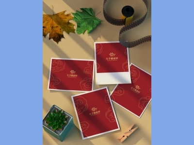 中国风新年文创样机套装包装贴图组合毕设作品产品效果图展示PSD设计素材相片纸