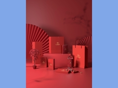 中国风新年文创样机套装包装贴图组合毕设作品产品效果图展示PSD设计素材