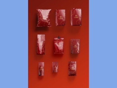 中国风新年文创样机套装包装贴图组合毕设作品产品效果图展示PSD袋子